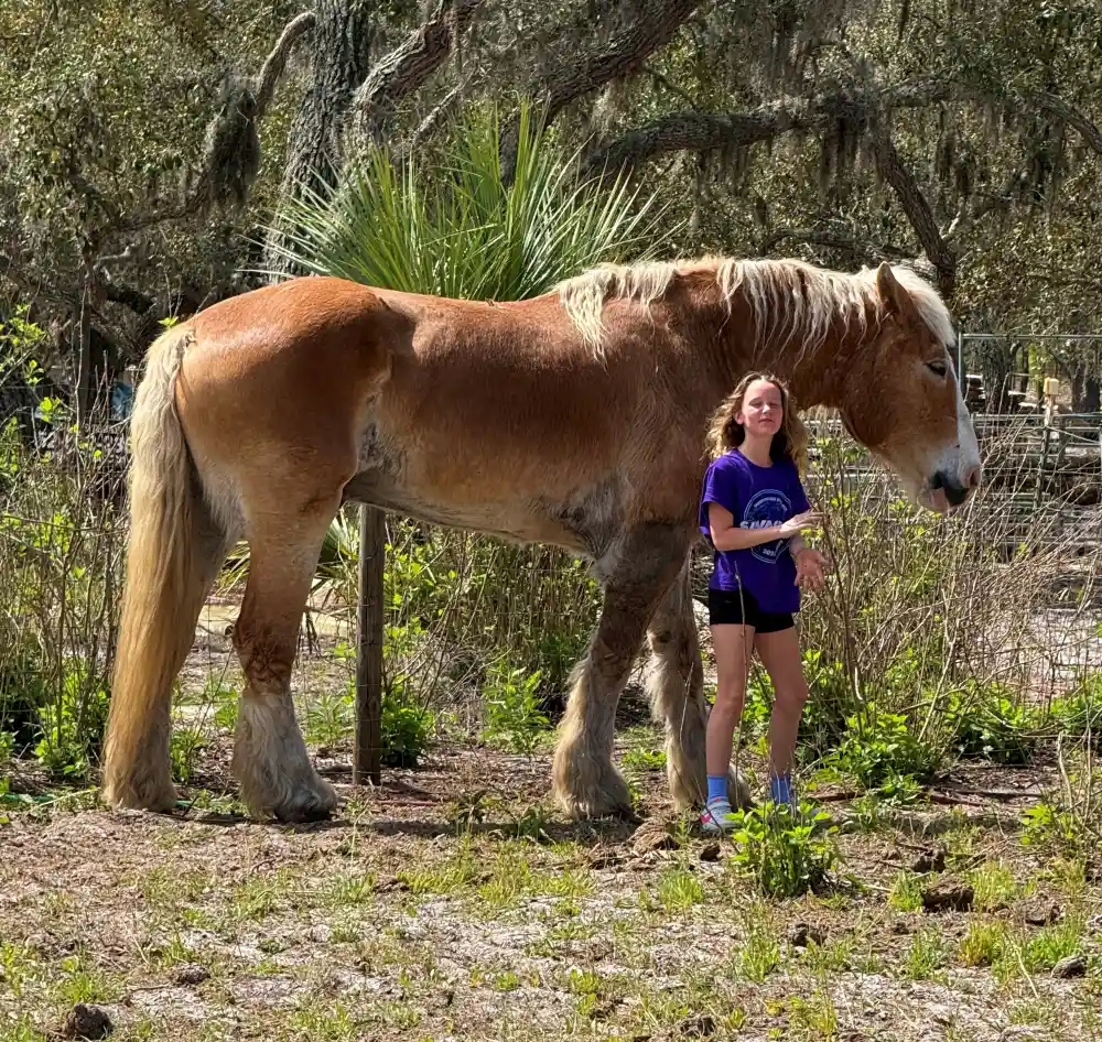 Paradise Pastures sanctuary grounds